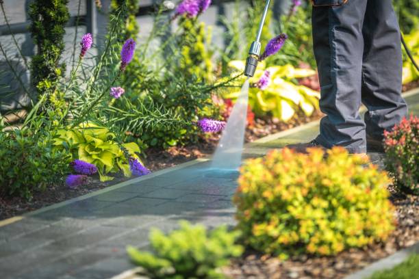 Best Parking Lot and Garage Cleaning  in Cedar Glen Lakes, NJ