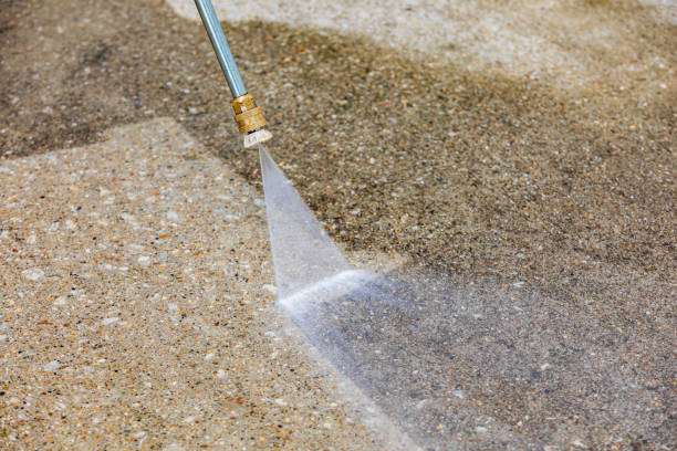 Best Roof Washing  in Cedar Glen Lakes, NJ